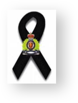 Stacks Image 11331488